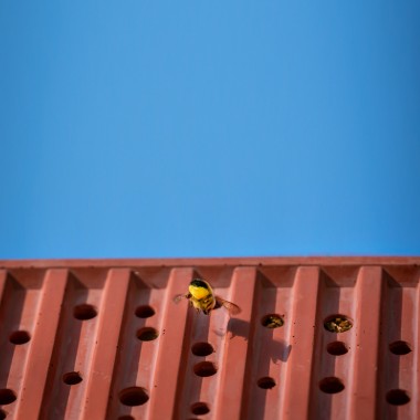 Bienenhotel aus Beton - beecontainer "Rosa" im Überseecontainer-Look von Grellroth Design