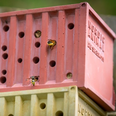 Bienenhotel aus Beton - beecontainer "Gelb" im Überseecontainer-Look von Grellroth Design