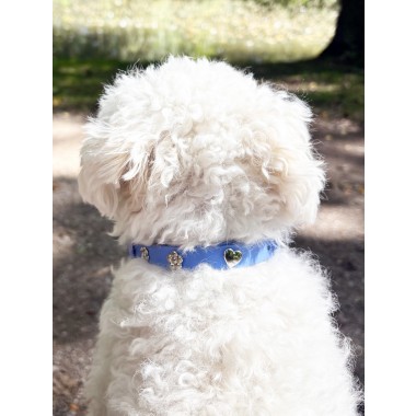 Herz Silber Hundehalsband Anhänger - PawPopz