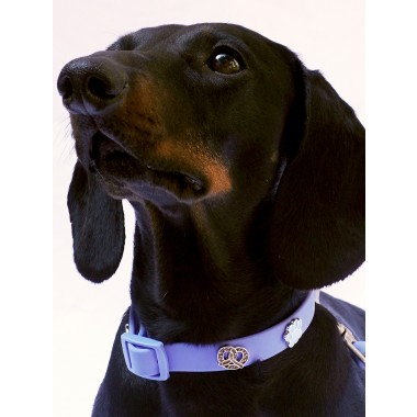 Breze Hundehalsband Anhänger - PawPopz