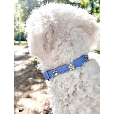 Blume Silber Hundehalsband Anhänger - PawPopz