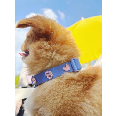 Breze Hundehalsband Anhänger - PawPopz