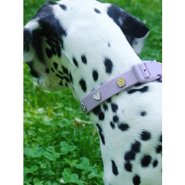 Herz Hundehalsband Anhänger - PawPopz