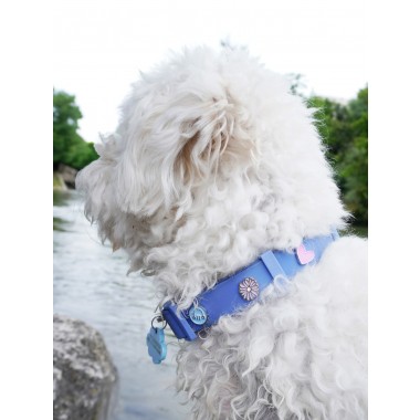 Blume Hundehalsband Anhänger - PawPopz