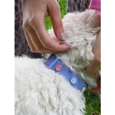 Happy Face Hundehalsband Anhänger - PawPopz