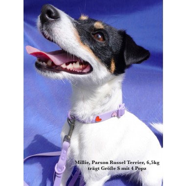 Hundehalsband Outdoor wasserfest Lila - PawPopz