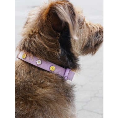 Blume Hundehalsband Anhänger - PawPopz