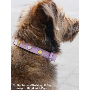 Hundehalsband Outdoor wasserfest Lila - PawPopz