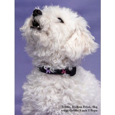 Hundehalsband Outdoor wasserfest Schwarz - PawPopz