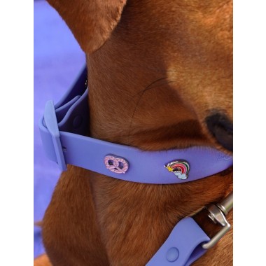 Regenbogen Hundehalsband Anhänger - PawPopz