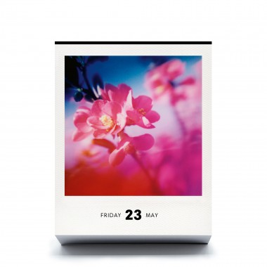 Photodarium 2025 Polaroid-Kalender (Foto-Abreißkalender)