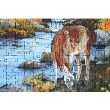 Piecely Patagonia Puzzle, 500 Teile