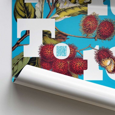 Grundrechte-Poster, Art. 10 Grundrechte-Poster, Art. 10