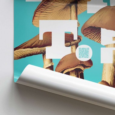 Grundrechte-Poster, Art. 5 Grundrechte-Poster, Art. 5