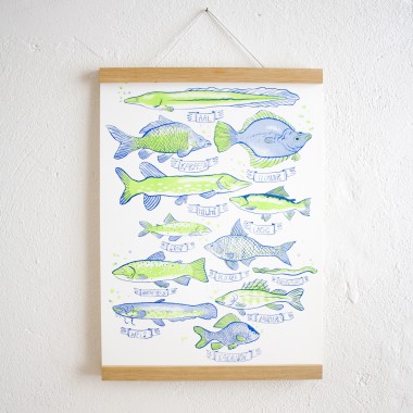 KLEINWAREN / VON LAUFENBERG Set / Heimische Fische Poster + Posterleiste Eiche A3