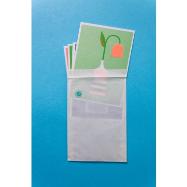 Martin Krusche - Risographie Postkartenset »Blumen«