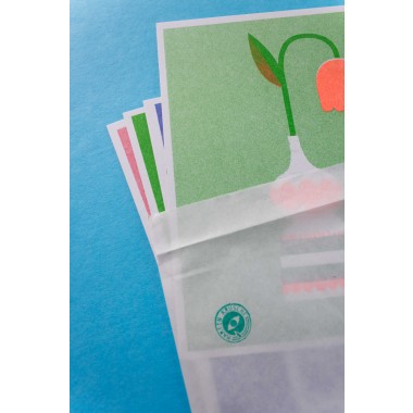 Martin Krusche - Risographie Postkartenset »Blumen«