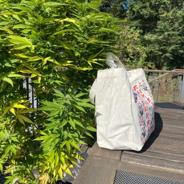 Tote Bag - Catch me Aho | Baumwolltasche mit Magnetverschluss & Innentasche | Sukeban Bosozoku Design | Lässiger Streetwear Look
