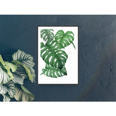 typealive / Tropical No. 2