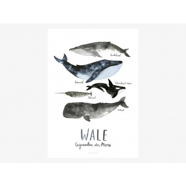 typealive / Print / Wale