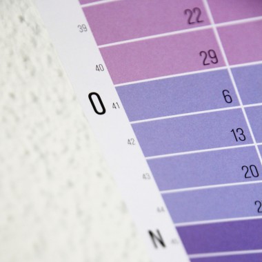 Wandkalender 2025 „Pink-Rosé-Violett“ Jahresplaner | Limited Edition | 100% Recyclingpapier | Deutsch-Englisch