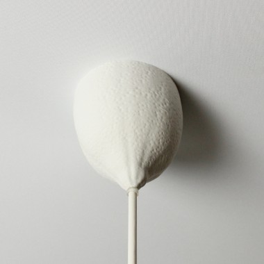 canopie® - Lampenbaldachin – Zitrone Gipsweiß