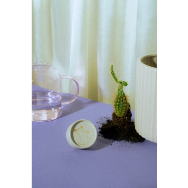 Astroplants - Zwillinge - Pflanzensamen