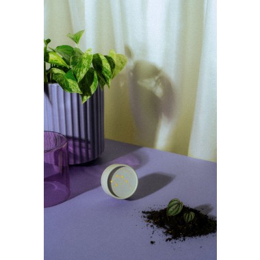 Astroplants - Wassermann - Pflanzensamen