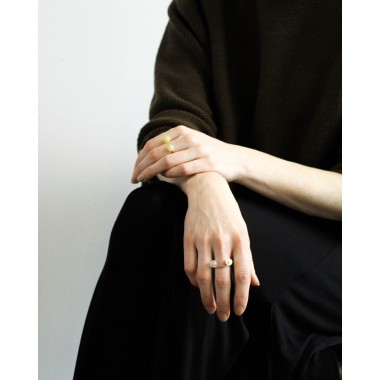 amelie schleifenheimer /
Ring DALMATIAN