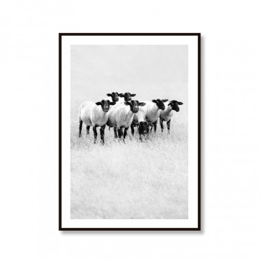 Amy & Kurt Berlin Artprint "Schwarze Schafe"