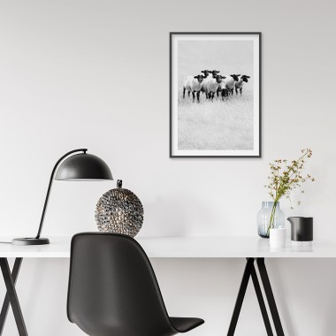 Amy & Kurt Berlin Artprint "Schwarze Schafe"