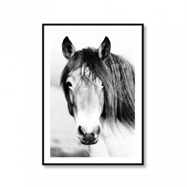 Amy & Kurt Berlin Artprint "Wild Horse"