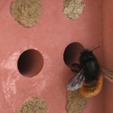 beehaus Herz - Bienenhotel aus Beton "Grau" von Grellroth Design