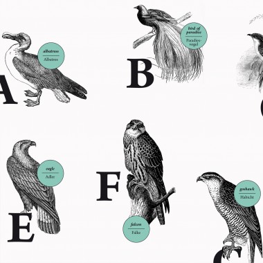Poster, ABC der Vögel / alphabet of birds in Deutsch/Englisch, DIN A1