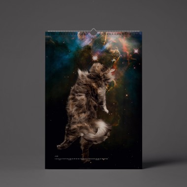 "CATS IN SPACE" Kalender 2022 (Vorbestellung)
