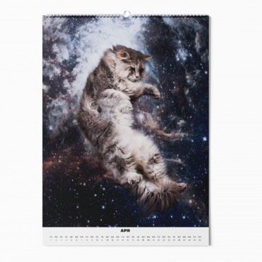 "CATS IN SPACE" Fotokalender 2025