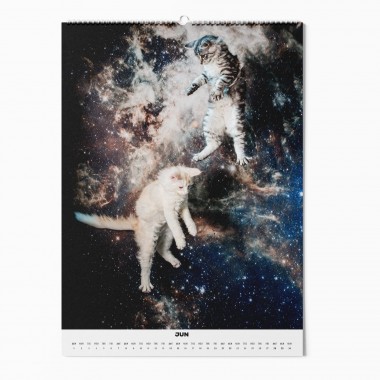 "CATS IN SPACE" Fotokalender 2025