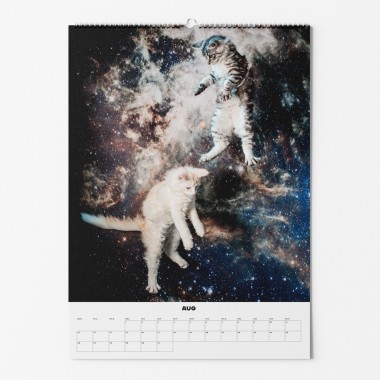 "CATS IN SPACE" Fotokalender 2024