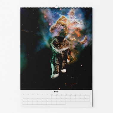 "CATS IN SPACE" Fotokalender 2024