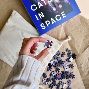"CATS IN SPACE" Puzzle #1