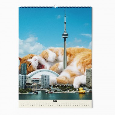 "CATS XXL" Fotokalender 2025
