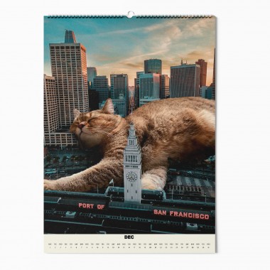 "CATS XXL" Fotokalender 2025