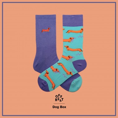 Dog Box, Geschenk-Box von Offbeat