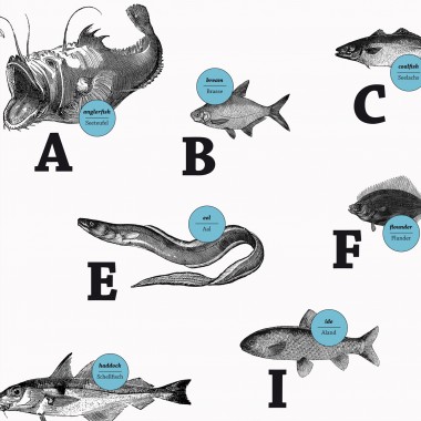 The True Type Poster, ABC der Fische / alphabet of fish in Deutsch/Englisch, DIN A1, Plakat, Typografie, Design
