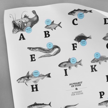 Poster, ABC der Fische / alphabet of fish in Deutsch/Englisch, DIN A1