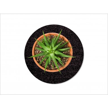 Keilbach Blumentopfunterlage flora-s  25cm
