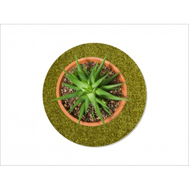 Keilbach Blumentopfunterlage flora-l, Ø 40cm, nur 9mm dick, schützt empfindliche Böden Keilbach Blumentopfunterlage flora-l, Ø 40cm, nur 9mm dick, schützt empfindliche Böden