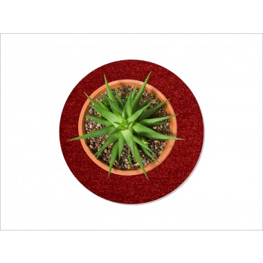 Keilbach Blumentopfunterlage flora-l, Ø 40cm, nur 9mm dick, schützt empfindliche Böden Keilbach Blumentopfunterlage flora-l, Ø 40cm, nur 9mm dick, schützt empfindliche Böden