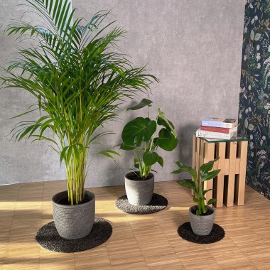 Keilbach Blumentopfunterlage flora-s  25cm