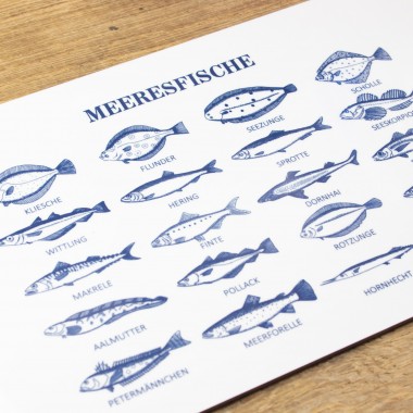 Bow & Hummingbird Frühstücksbrettchen Melamin Fische „Meeresfische“ maritim 23,5 × 14,5 cm